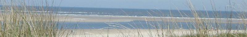 Düne und Meer auf Langeoog